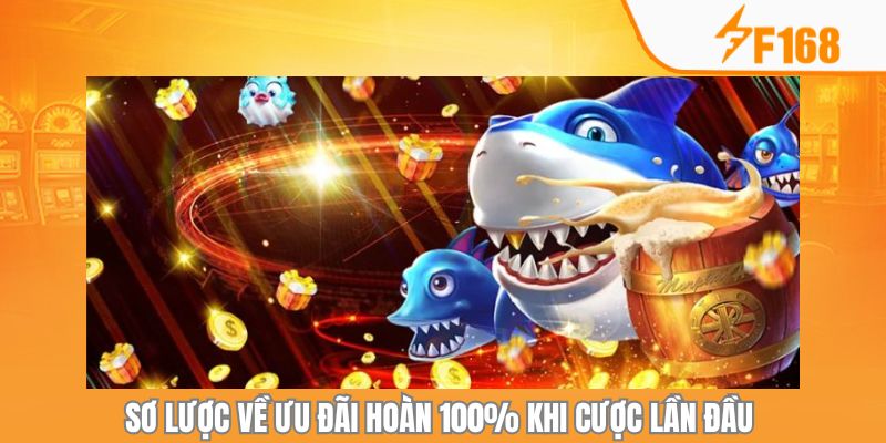 Vài nét sơ lược về ưu đãi hoàn 100% khi cược lần đầu 